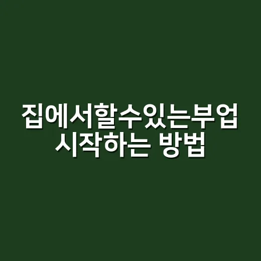 집에서할수있는부업 시작하는 방법, 초보자가 돈과 시간을 덜 낭비하려면 이렇게 - 요약