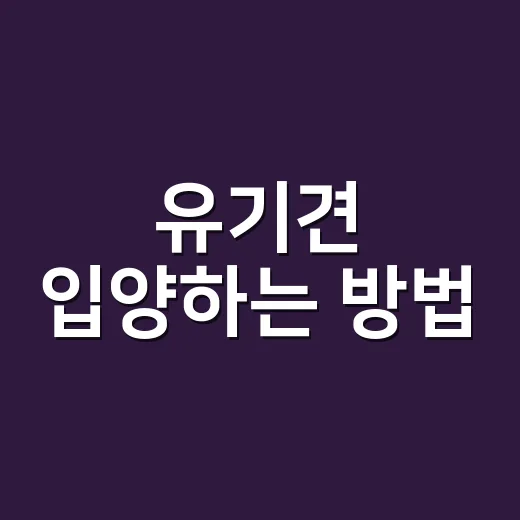 유기견 입양하는 방법, 처음이라면 이렇게 준비하세요 - 요약