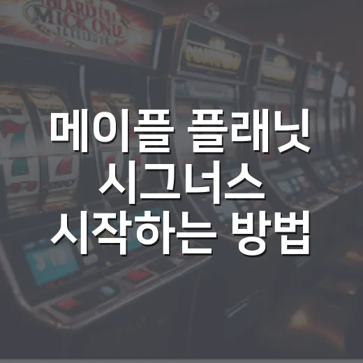 메이플 플래닛 시그너스 시작하는 방법, 초보가 덜 헤매는 육성 루트 - 요약