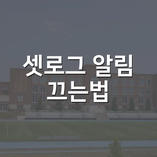 셋로그 알림 끄는법, 휴대폰에서 조용하게 설정하는 방법 - 요약