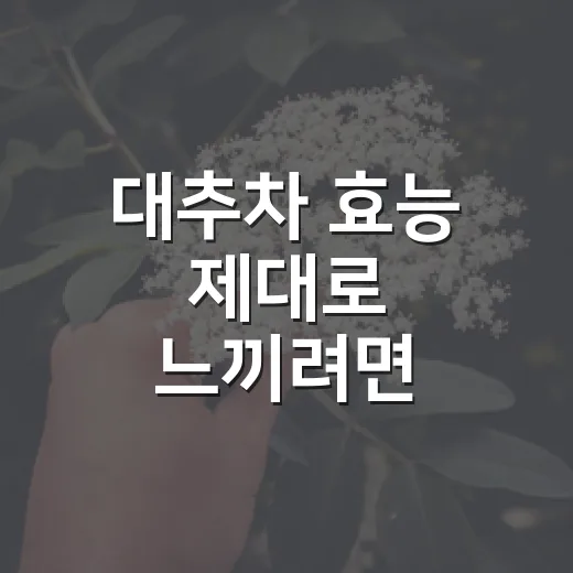 대추차 효능 제대로 느끼려면 이렇게 마시면 좋아요 - 요약