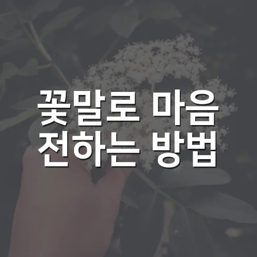 꽃말로 마음 전하는 방법, 꽃 고를 때 이렇게 보면 쉬워요 - 요약