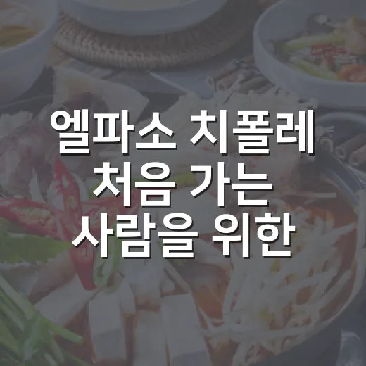 엘파소 치폴레 처음 가는 사람을 위한 주문 방법 - 요약