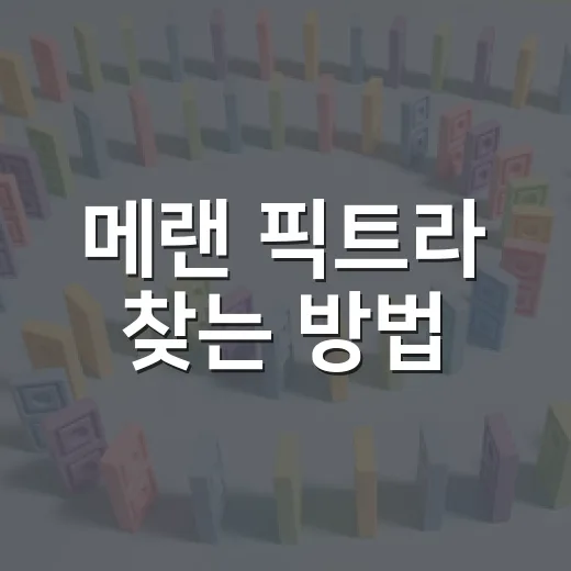 메랜 픽트라 찾는 방법, 초보자가 헷갈리지 않게 잡는 동선 - 요약