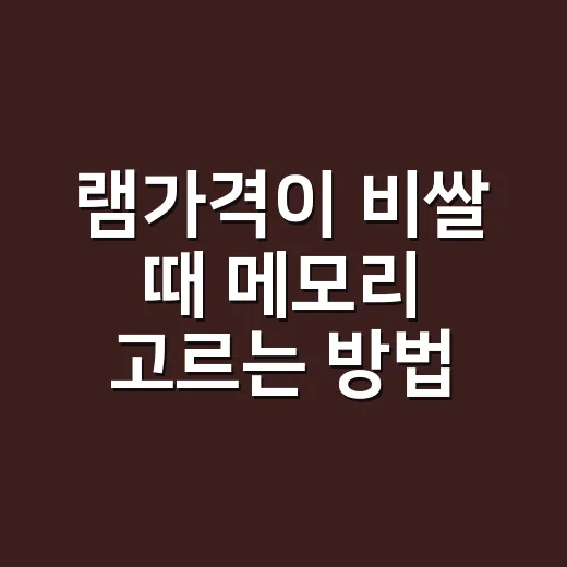 램가격이 비쌀 때 메모리 고르는 방법 - 요약
