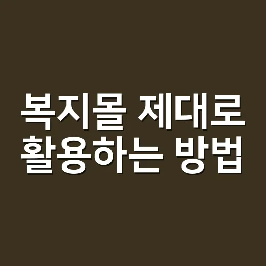 복지몰 제대로 활용하는 방법, 포인트 놓치지 않고 쓰려면 이렇게 - 요약