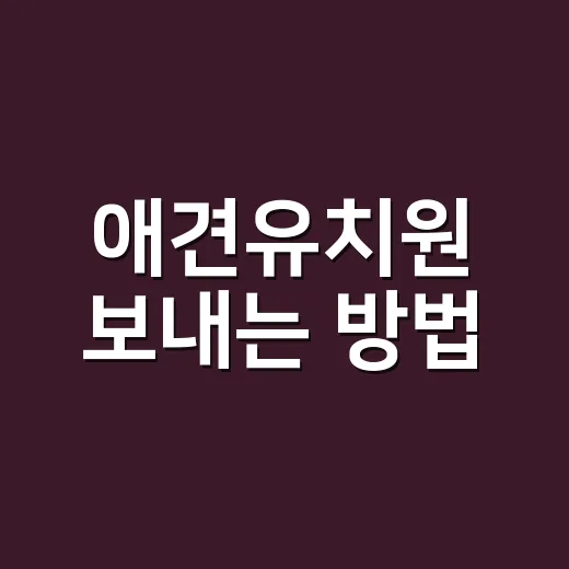 애견유치원 보내는 방법, 처음이라면 이렇게 준비하세요 - 요약