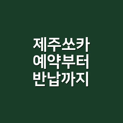 제주쏘카 예약부터 반납까지 초보자가 편하게 이용하는 방법 - 요약