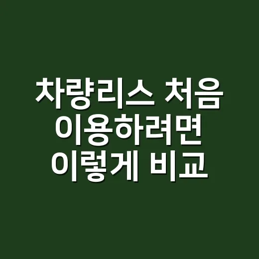 차량리스 처음 이용하려면 이렇게 비교하세요 - 요약