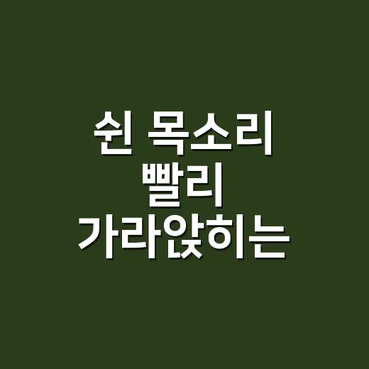 쉰 목소리 빨리 가라앉히는 방법, 집에서 먼저 챙길 것들 - 요약