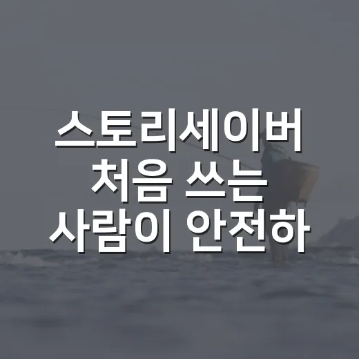 스토리세이버 처음 쓰는 사람이 안전하게 저장하는 방법 - 요약