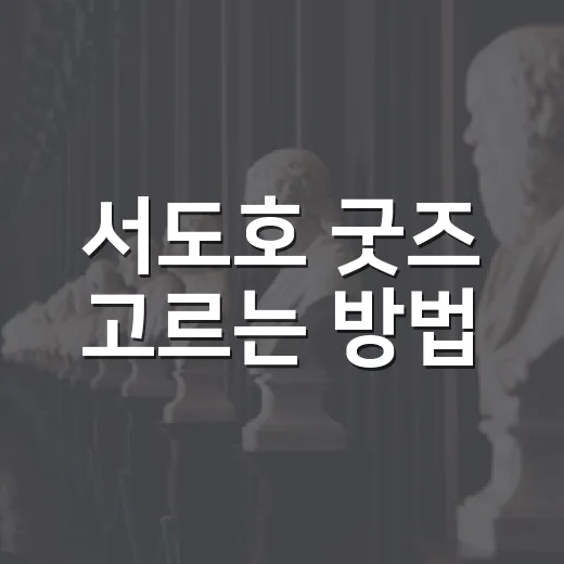 서도호 굿즈 고르는 방법, 처음 사는 사람도 후회 덜 하려면 이렇게 - 요약