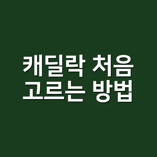 캐딜락 처음 고르는 방법, 모델별 성격부터 유지비까지 이렇게 보면 편합니다 - 요약