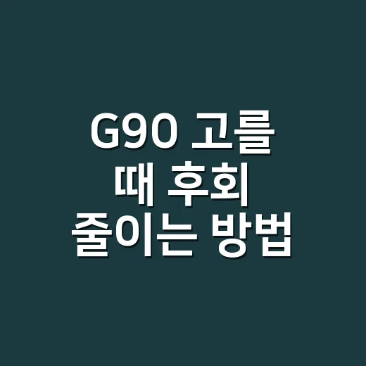G90 고를 때 후회 줄이는 방법, 일반형과 롱휠베이스 차이까지 - 요약