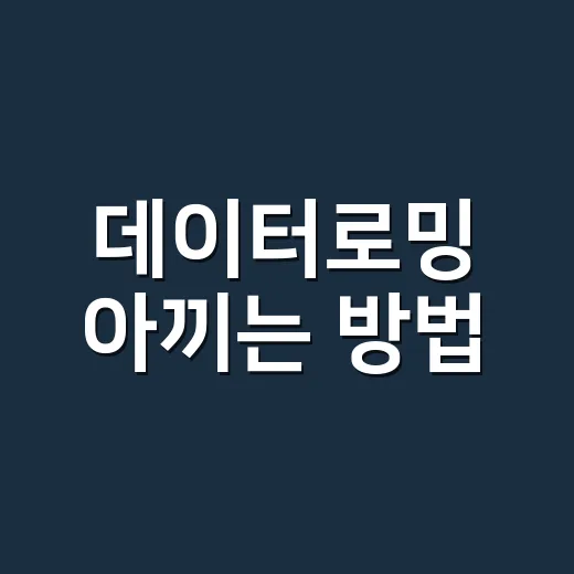 데이터로밍 아끼는 방법, 해외여행 전 이렇게 준비하면 덜 불안해요 - 요약