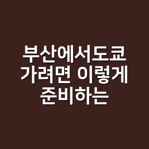 부산에서도쿄 가려면 이렇게 준비하는 방법 - 요약