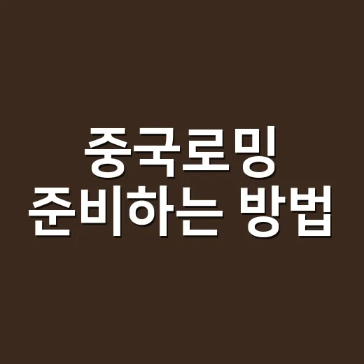 중국로밍 준비하는 방법, 막히는 앱 없이 쓰려면 이렇게 챙기세요 - 요약