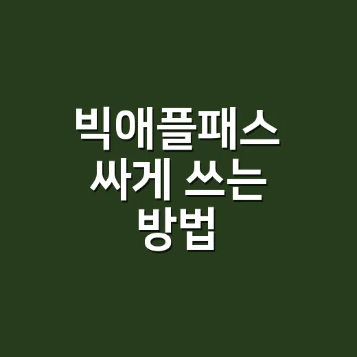 빅애플패스 싸게 쓰는 방법, 뉴욕 초보 여행자는 이렇게 고르면 됩니다 - 요약