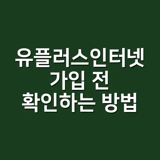 유플러스인터넷 가입 전 확인하는 방법: 속도와 요금 덜 헷갈리게 고르기 - 요약