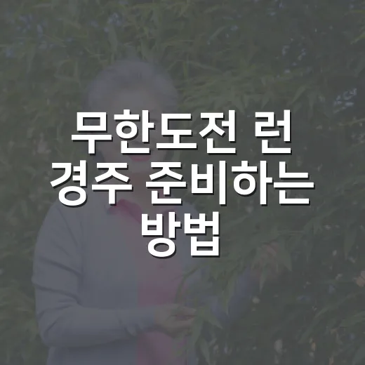 무한도전 런 경주 준비하는 방법, 예매부터 코스 선택까지 - 요약