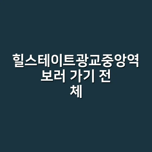 힐스테이트광교중앙역 보러 가기 전 체크하는 방법 - 요약