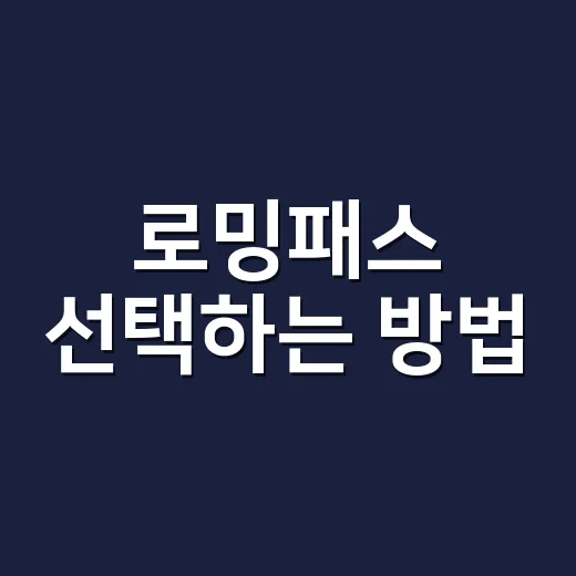 로밍패스 선택하는 방법, 해외여행 데이터 요금 덜 헷갈리게 고르기 - 요약