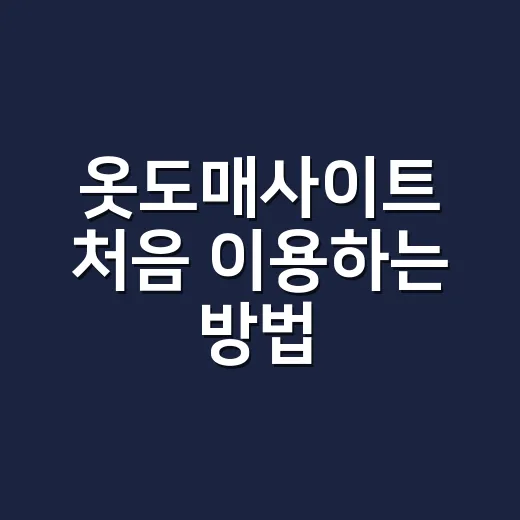 옷도매사이트 처음 이용하는 방법, 사입 실패 줄이려면 이렇게 고르세요 - 요약