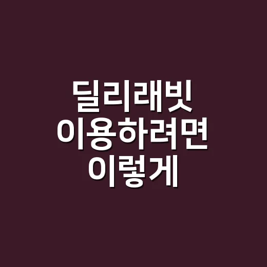 딜리래빗 이용하려면 이렇게 체크하세요 - 요약