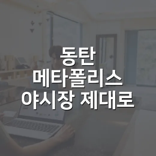 동탄 메타폴리스 야시장 제대로 즐기는 방법 - 요약