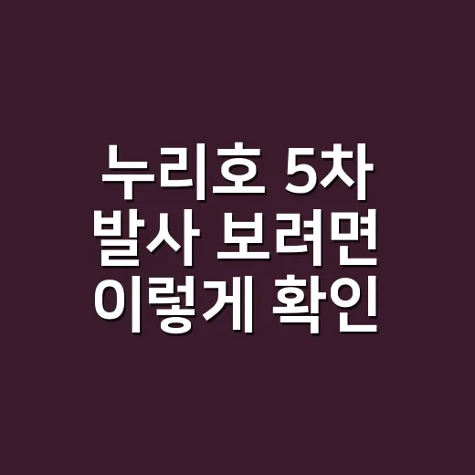 누리호 5차 발사 보려면 이렇게 확인하면 됩니다 - 요약