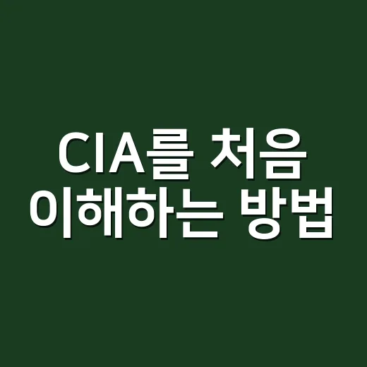 CIA를 처음 이해하는 방법, 뉴스 속 정보기관 읽는 법 - 요약