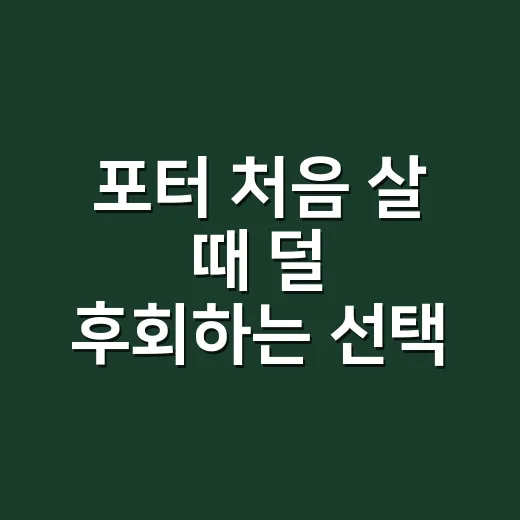 포터 처음 살 때 덜 후회하는 선택 방법 - 요약