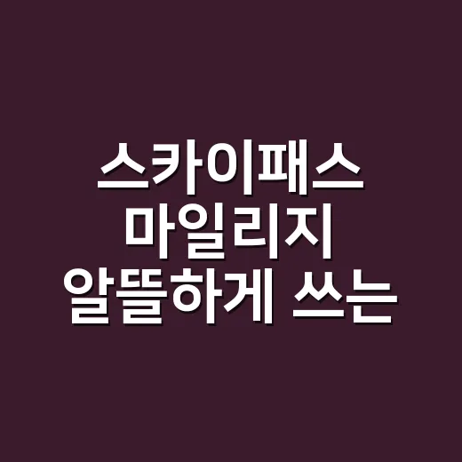 스카이패스 마일리지 알뜰하게 쓰는 방법, 초보자도 헷갈리지 않게 - 요약