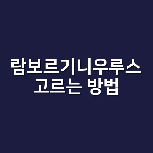 람보르기니우루스 고르는 방법, 가격보다 먼저 봐야 할 기준 - 요약