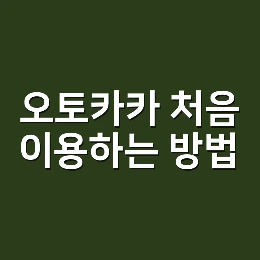 오토카카 처음 이용하는 방법, 헷갈리는 부분만 쉽게 짚기 - 요약