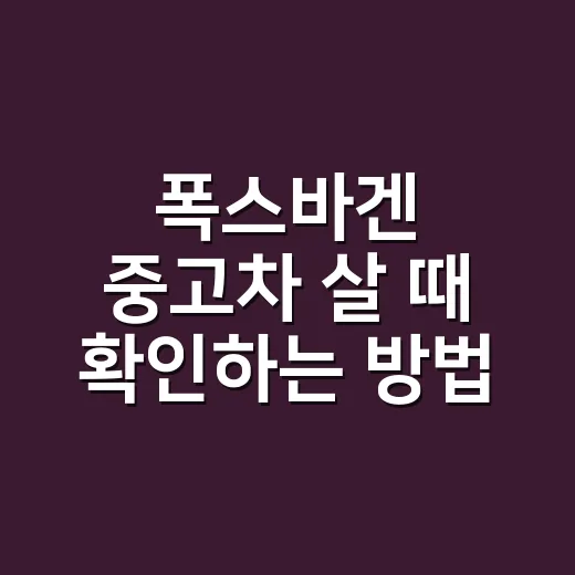 폭스바겐 중고차 살 때 확인하는 방법 - 요약
