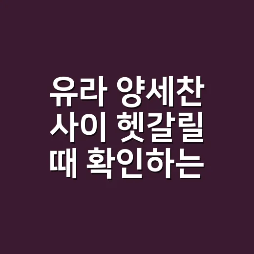 유라 양세찬 사이 헷갈릴 때 확인하는 방법 - 요약