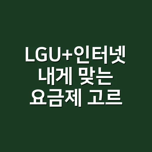 LGU+인터넷 내게 맞는 요금제 고르는 방법