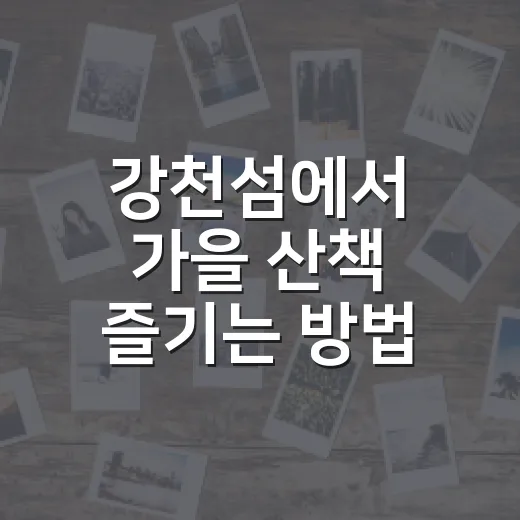 강천섬에서 가을 산책 즐기는 방법 - 요약