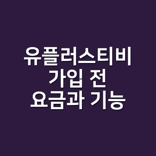 유플러스티비 가입 전 요금과 기능 고르는 방법 - 요약