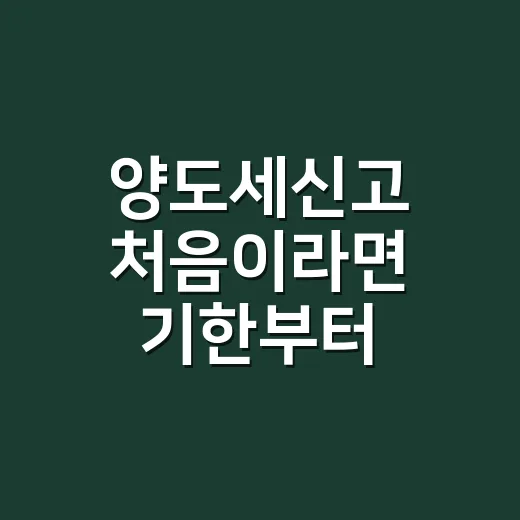 양도세신고 처음이라면 기한부터 확인하는 방법 - 요약