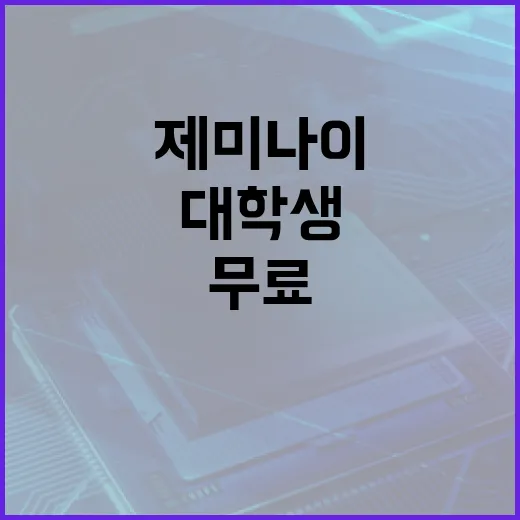 대학생을 위한 제미…