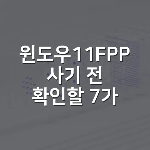 윈도우11FPP 사…