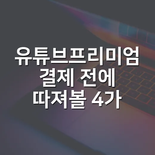 유튜브프리미엄 결제 전에 따져볼 4가지 - 요약