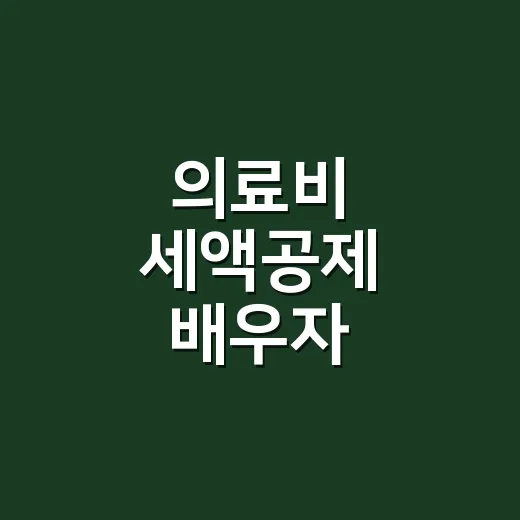 의료비 세액공제 배우자 공제에서 자주 틀리는 5가지 기준 - 요약