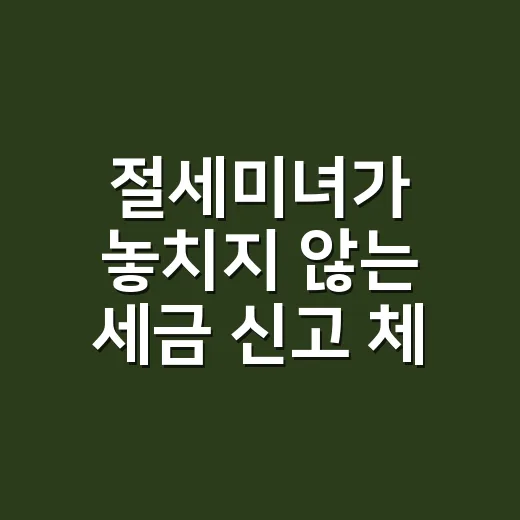 절세미녀가 놓치지 않는 세금 신고 체크 5가지 - 요약