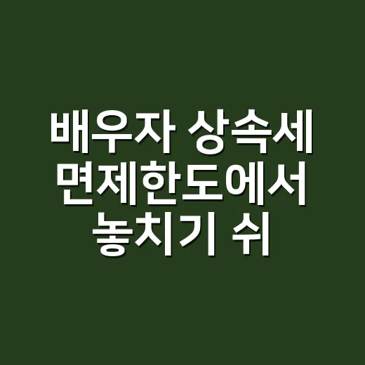 배우자 상속세 면제한도에서 놓치기 쉬운 5가지 - 요약