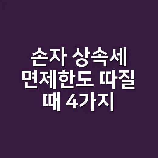 손자 상속세 면제한도 따질 때 4가지 기준 - 요약