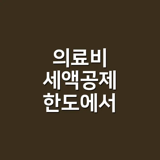 의료비 세액공제 한도에서 놓치는 5가지 - 요약
