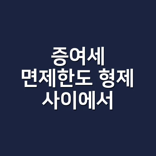 증여세 면제한도 형제 사이에서 놓치는 4가지 - 요약